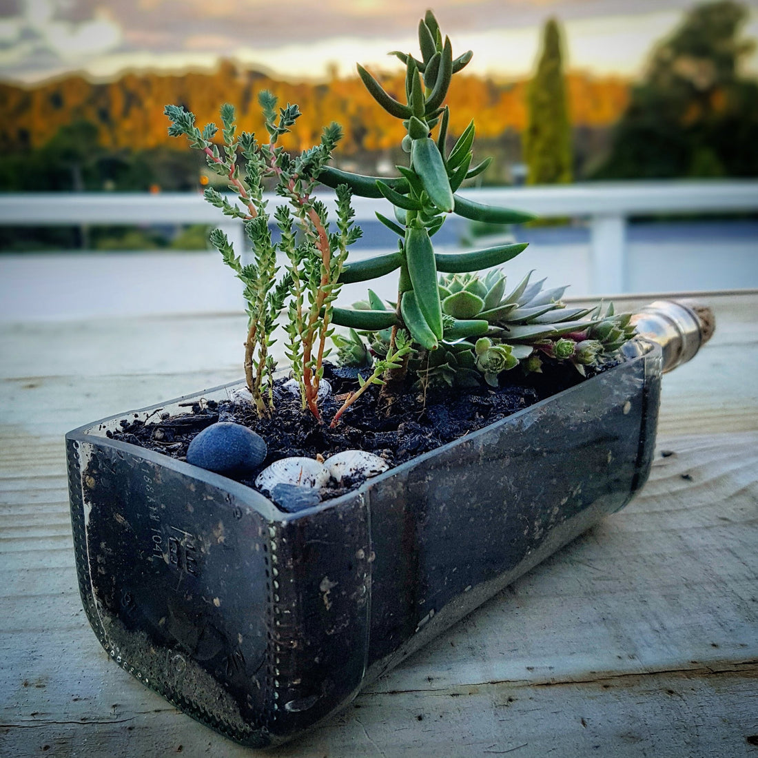 5 Reasons Why Upcycled Products Are the Future